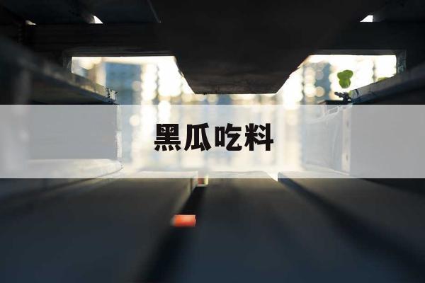 黑瓜吃料