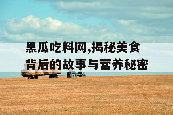 黑瓜吃料网,揭秘美食背后的故事与营养秘密