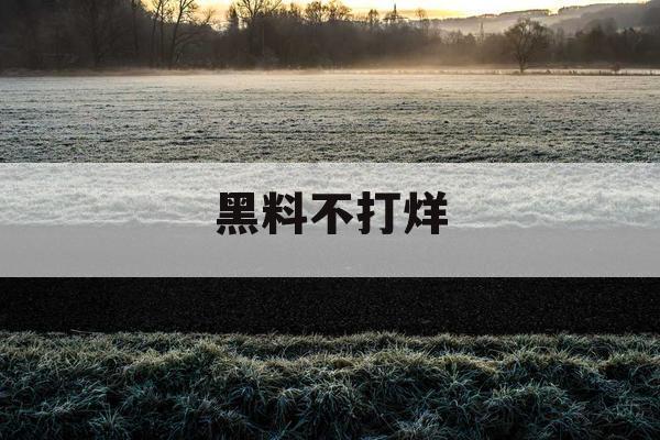 黑料不打烊 黑料不打烊
