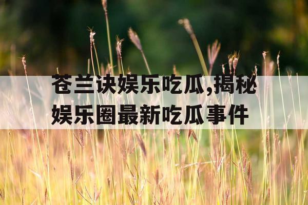 苍兰诀娱乐吃瓜,揭秘娱乐圈最新吃瓜事件