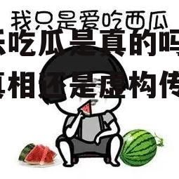 娱乐吃瓜是真的吗,吃瓜真相还是虚构传闻？