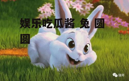 娱乐吃瓜酱 兔 圆 圆