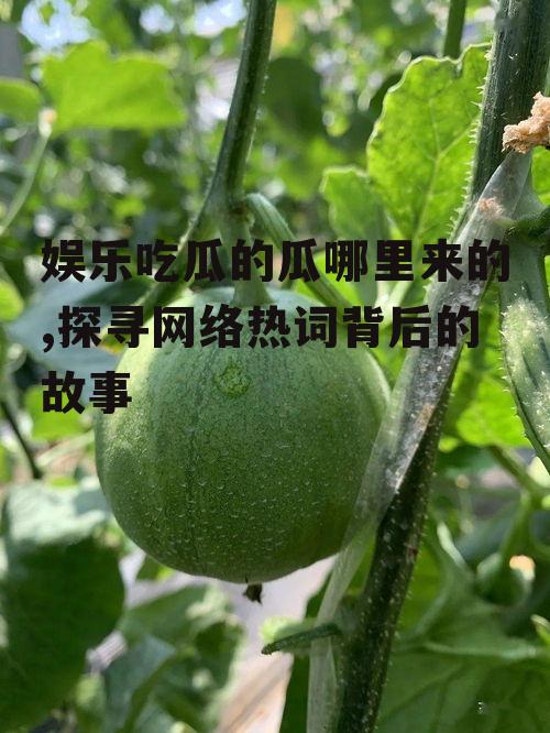 娱乐吃瓜的瓜哪里来的,探寻网络热词背后的故事