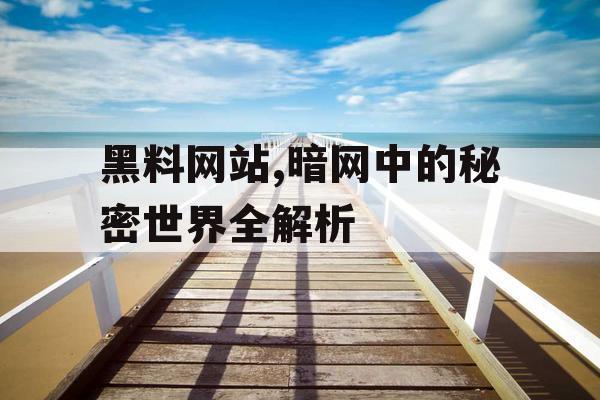 黑料网站,暗网中的秘密世界全解析
