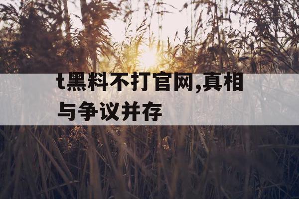 t黑料不打官网,真相与争议并存