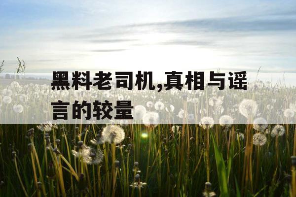 黑料老司机,真相与谣言的较量