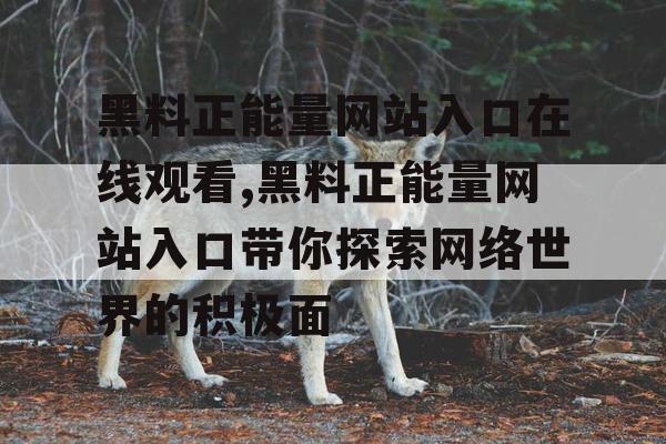 黑料正能量网站入口在线观看,黑料正能量网站入口带你探索网络世界的积极面