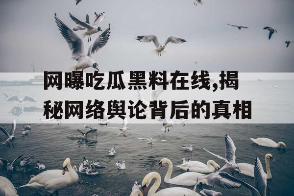 网曝吃瓜黑料在线,揭秘网络舆论背后的真相