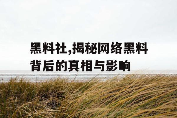 黑料社,揭秘网络黑料背后的真相与影响