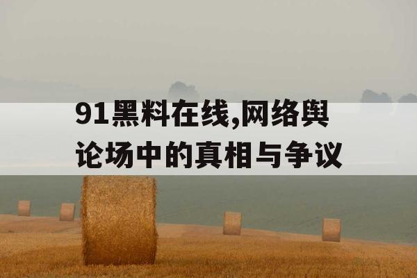 91黑料在线,网络舆论场中的真相与争议