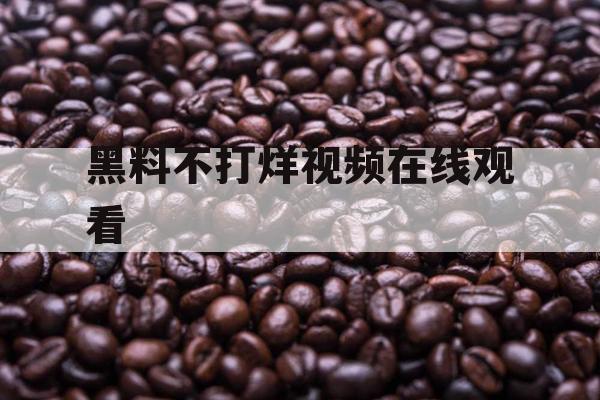 黑料不打烊视频在线观看