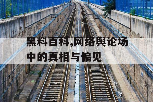 黑料百科,网络舆论场中的真相与偏见