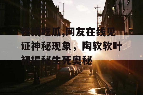 在线吃瓜,网友在线见证神秘现象，陶软软叶初揭秘生死奥秘
