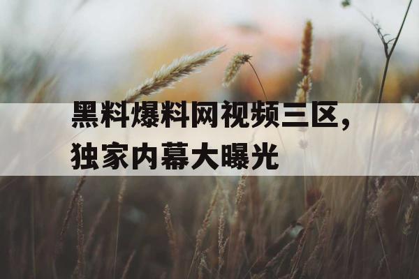 黑料爆料网视频三区,独家内幕大曝光
