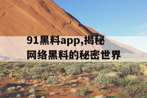 91黑料app,揭秘网络黑料的秘密世界