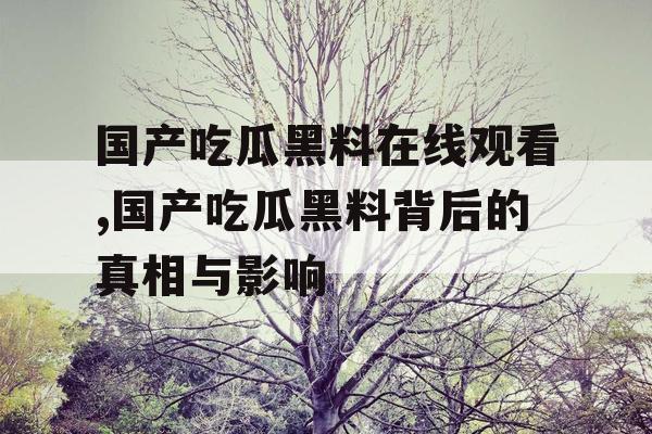国产吃瓜黑料在线观看,国产吃瓜黑料背后的真相与影响