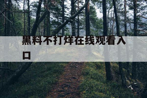 黑料不打烊在线观看入口