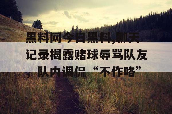 黑料网今日黑料,聊天记录揭露赌球辱骂队友，队内调侃“不作咯”