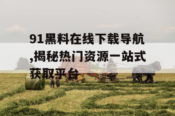 91黑料在线下载导航,揭秘热门资源一站式获取平台