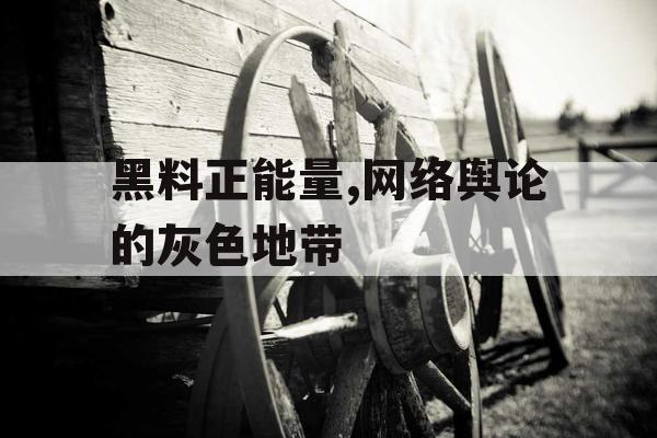 黑料正能量,网络舆论的灰色地带