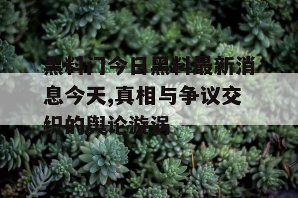 黑料门今日黑料最新消息今天,真相与争议交织的舆论漩涡
