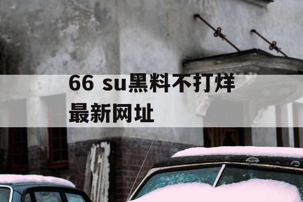 66 su黑料不打烊最新网址