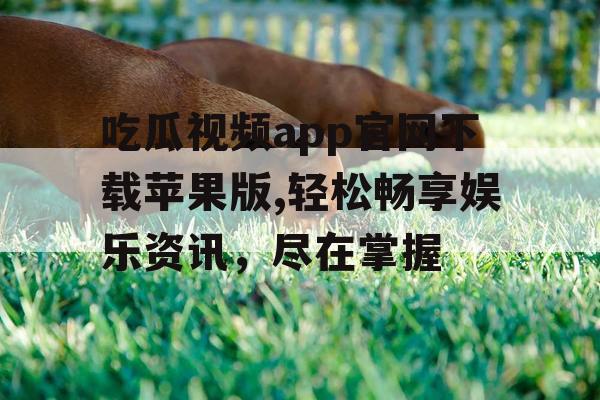 吃瓜视频app官网下载苹果版,轻松畅享娱乐资讯，尽在掌握