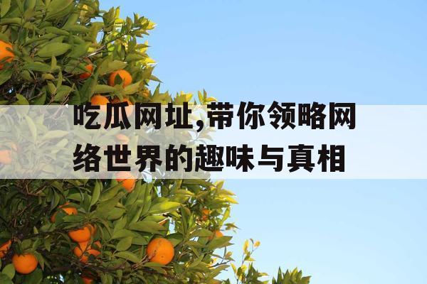 吃瓜网址,带你领略网络世界的趣味与真相