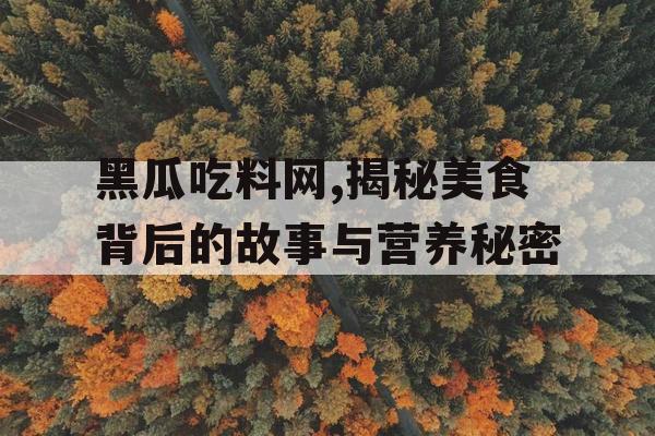黑瓜吃料网,揭秘美食背后的故事与营养秘密