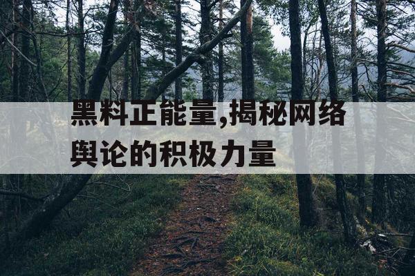 黑料正能量,揭秘网络舆论的积极力量