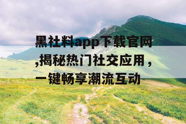 黑社料app下载官网,揭秘热门社交应用，一键畅享潮流互动