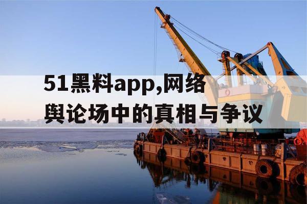 51黑料app,网络舆论场中的真相与争议