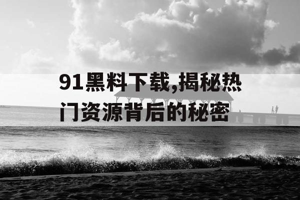 91黑料下载,揭秘热门资源背后的秘密