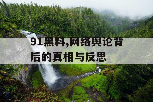 91黑料,网络舆论背后的真相与反思