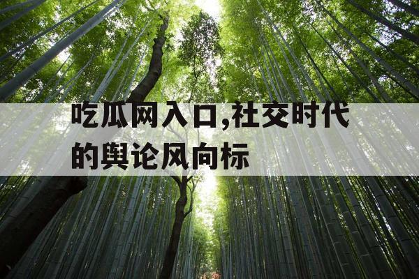 吃瓜网入口,社交时代的舆论风向标