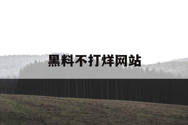 黑料不打烊网站