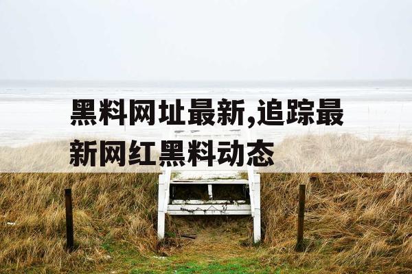 黑料网址最新,追踪最新网红黑料动态