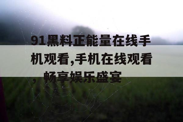 91黑料正能量在线手机观看,手机在线观看，畅享娱乐盛宴