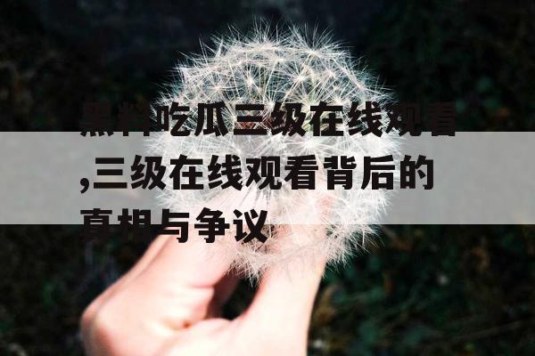 黑料吃瓜三级在线观看,三级在线观看背后的真相与争议