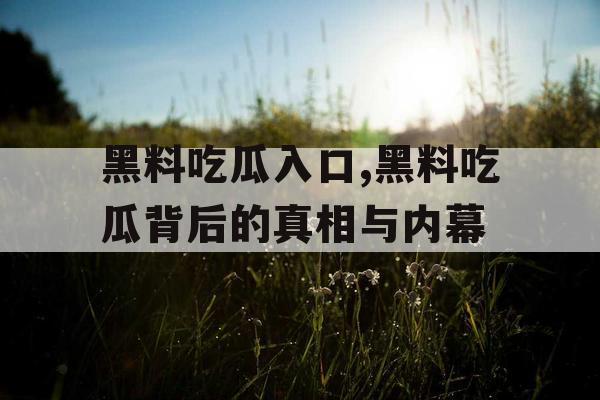 黑料吃瓜入口,黑料吃瓜背后的真相与内幕