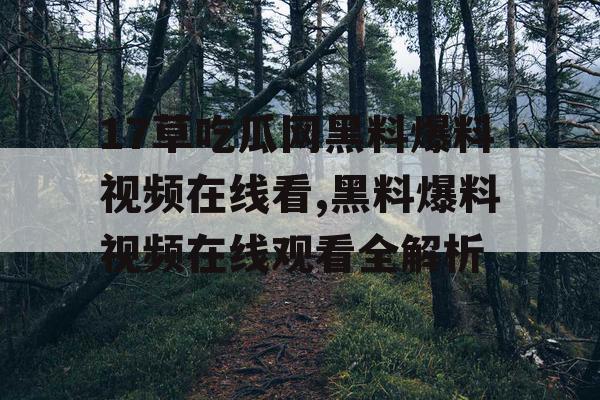 17草吃瓜网黑料爆料视频在线看,黑料爆料视频在线观看全解析