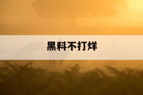 黑料不打烊