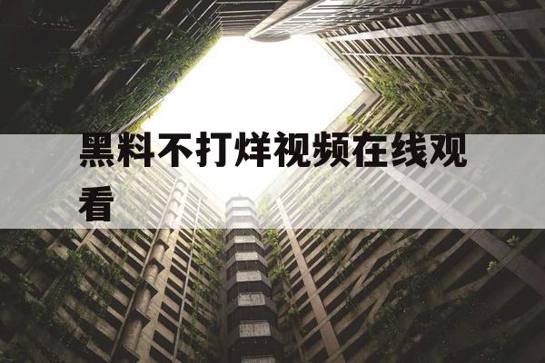 黑料不打烊视频在线观看