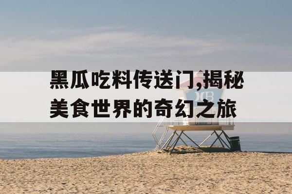 黑瓜吃料传送门,揭秘美食世界的奇幻之旅