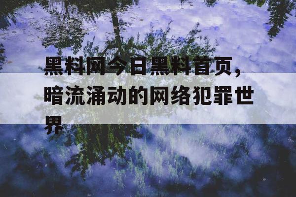 黑料网今日黑料首页,暗流涌动的网络犯罪世界