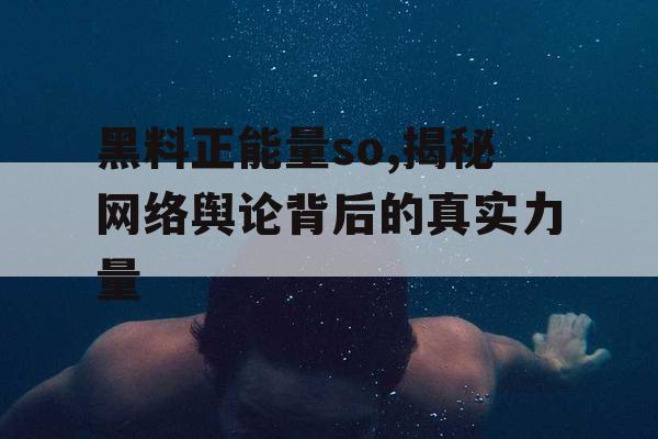 黑料正能量so,揭秘网络舆论背后的真实力量