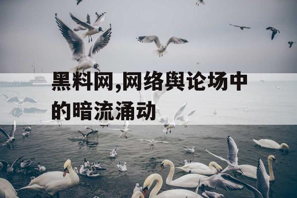 黑料网,网络舆论场中的暗流涌动