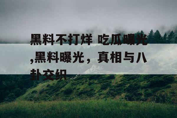 黑料不打烊 吃瓜曝光,黑料曝光，真相与八卦交织