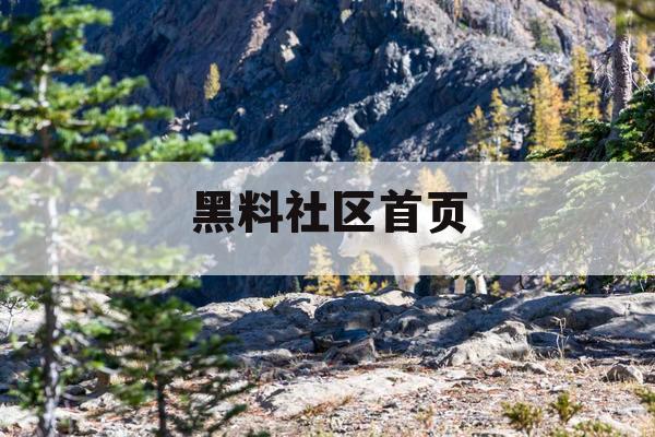 黑料社区首页