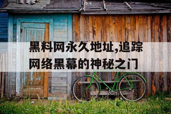 黑料网永久地址,追踪网络黑幕的神秘之门